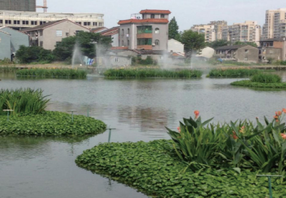 生態(tài)系統建設成果